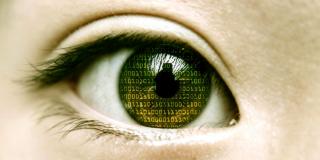 Website Visibility